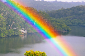 arcobaleno 2 lista